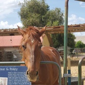 Photo submitted by Kathryn