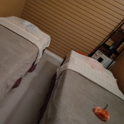 Photo submitted by Melissa