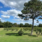 Photo submitted by Kenny