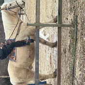 Photo submitted by Liz