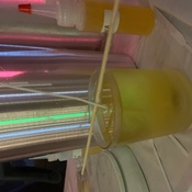 Photo submitted by Jodie-Ann