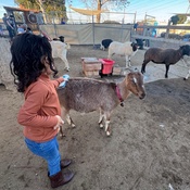 Photo submitted by Kimberly