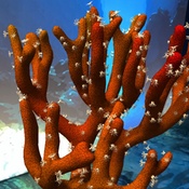 Photo submitted by Tim