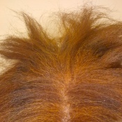 Photo submitted by regina