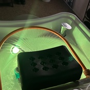 Photo submitted by Zindzi