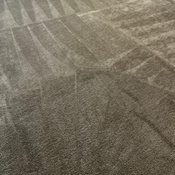 Photo submitted by Tonya