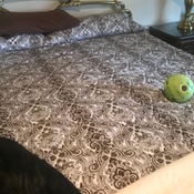 Photo submitted by Amy