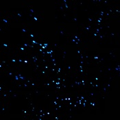 Photo submitted by kareen