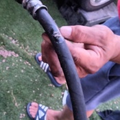 Photo submitted by Paula