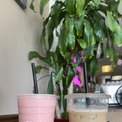 Photo submitted by Adrianna