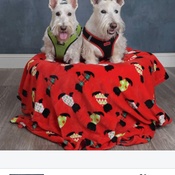 Photo submitted by Jennifer