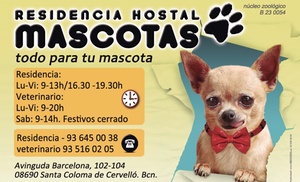 HOSTAL MASCOTAS VETERINARIO