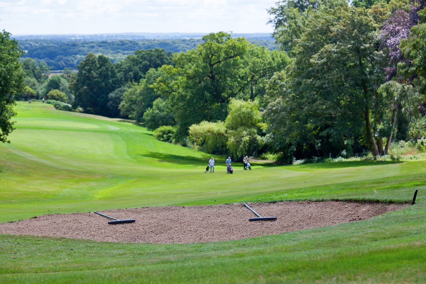 Dorking Golf Club Dorking, Surrey Groupon
