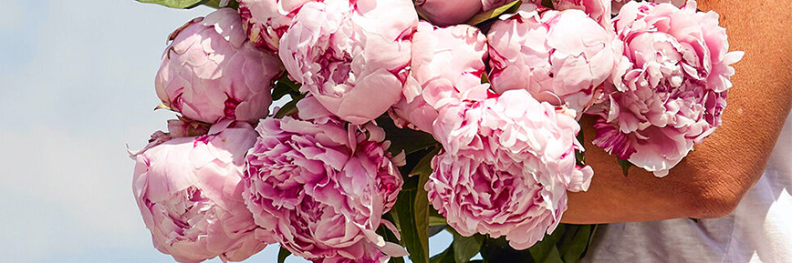 25% Off on Selected Anniversary Flowers - eFlorist Voucher