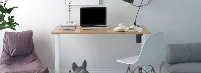 FlexiSpot Desk