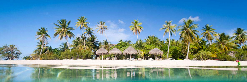 Assicurazioni da soli 12 €/mese - approfitta ora!