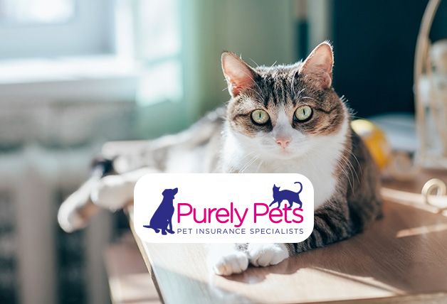 Earn £15 When You Refer a Friend with Purely Pets Promo