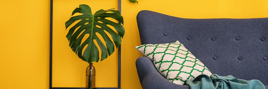 VidaXL - OngelooflijkeKorting