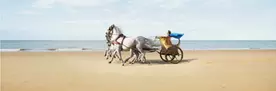 Haven Holidays - Reward