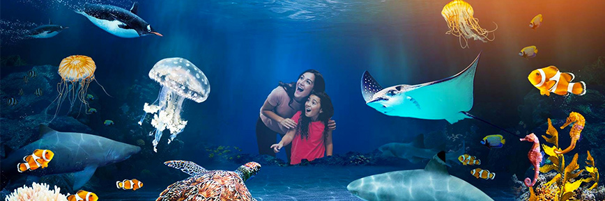 Check up to 33% SEA LIFE + LEGOLAND Discovery Centre with SEA LIFE Promo