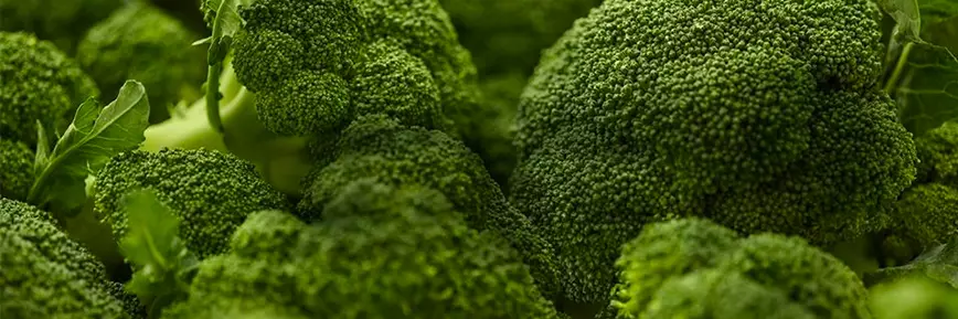 Back to School: Shop lunchbox legends for a chance to WIN a Jaecoo J5 EV with Woolworths Online