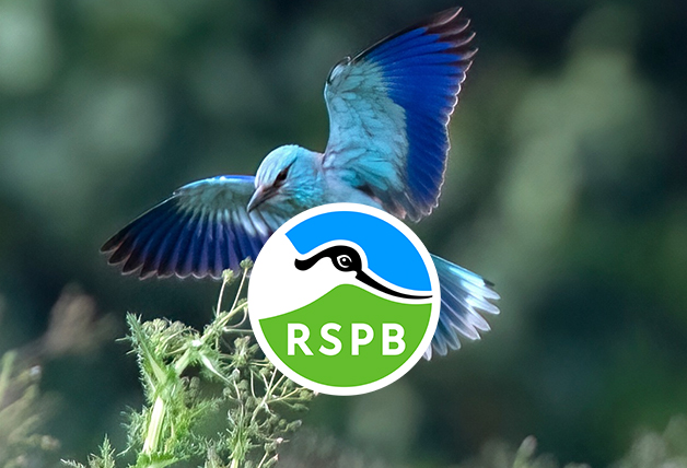 20% off plus Free Delivery on Orders Over £20 at RSPB