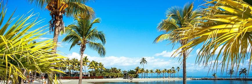 LOT - Musisz to mieć