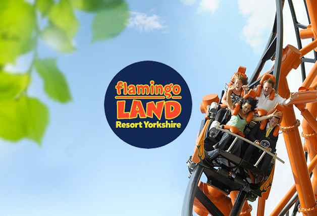 Grab Your Favorites for Less – Enjoy Price Drops at Flamingo Land