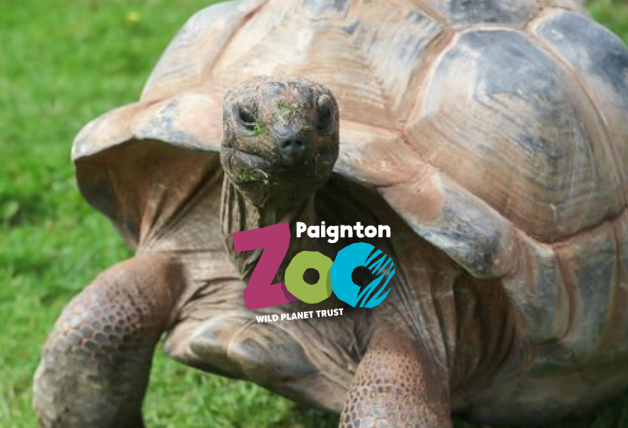 Free Entry for Kids Under 3 at Paignton Zoo