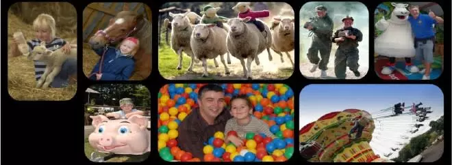 The Big Sheep
