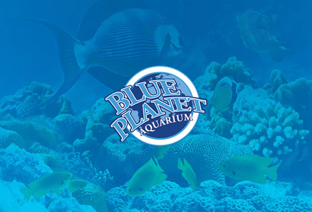 Kids Go Free at Blue Planet Aquarium with Kids Pass