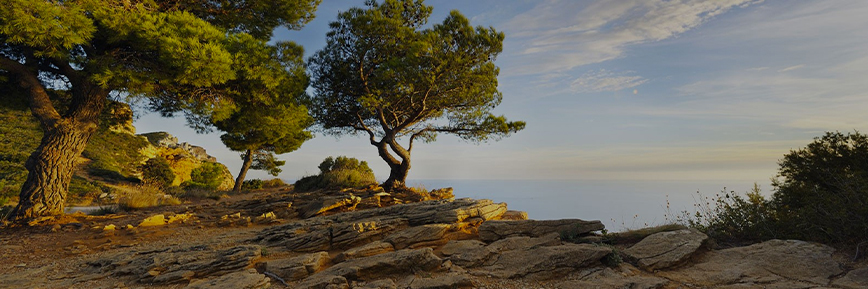 Londres dès 44 €* : partez vivre la magie de l’hiver avec Eurostar !