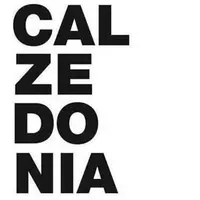 Calzedonia - Logo