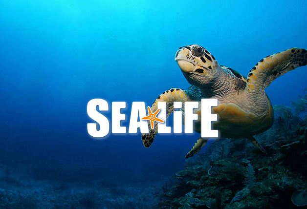 Save Up to 40% Tickets to SEA LIFE Birmingham - SEA LIFE Centres & Sanctuaries Promo