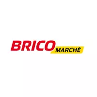 Bricomarche - Logo