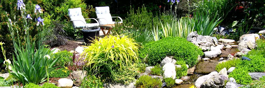 Pondkeeper Offer: 50% Off PondXpert MultiChamber 18000 Filter and UltraFlow 10000 Pump Set