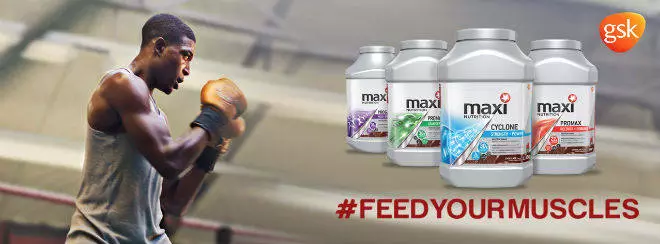 MaxiNutrition boxer