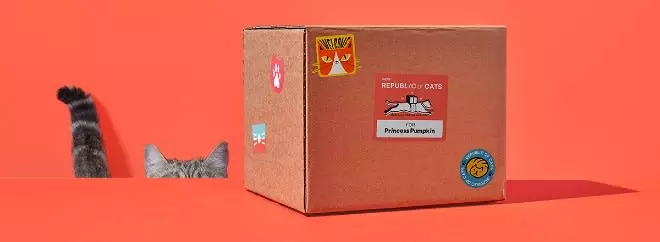 Republic of Cats Food