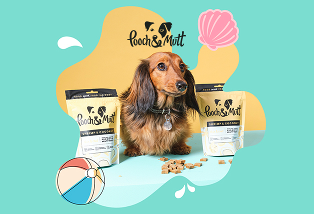 15% Off Sitewide | Pooch & Mutt Discount Code