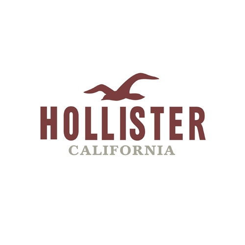 Hollister logo