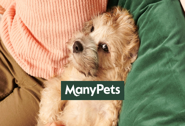 Buy a ManyPets Policy and Get a £45 Amazon.co.uk Gift Card with ManyPets Promo