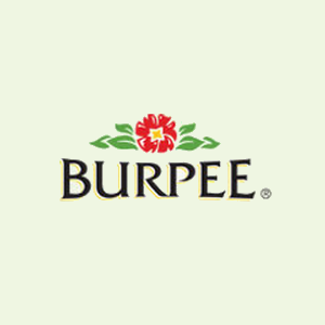 Burpee logo