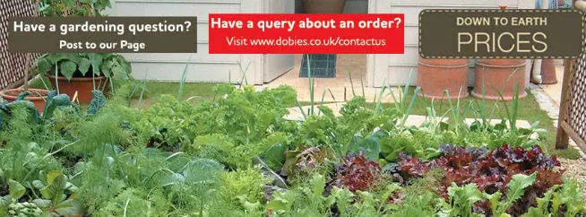 Dobies Voucher Code