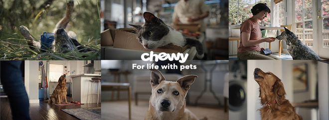 Chewy Discount Code