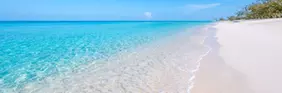 Save up to $55 off our Fees on Flights with promo code
