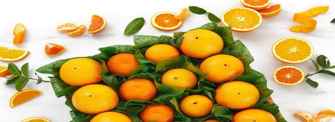 Hale Groves Discount Code