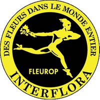 Interflora - Logo