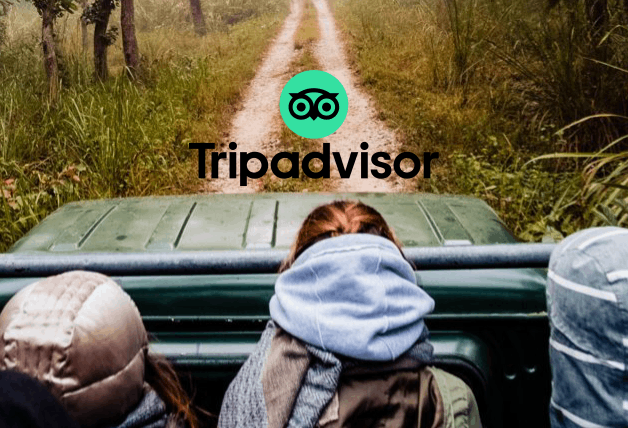 TripAdvisor Discount Code: 10% Off Selected Experience Product Purchase