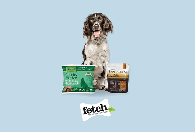 Be the First to Know About News and Exclusive Deals—Sign Up now at Fetch