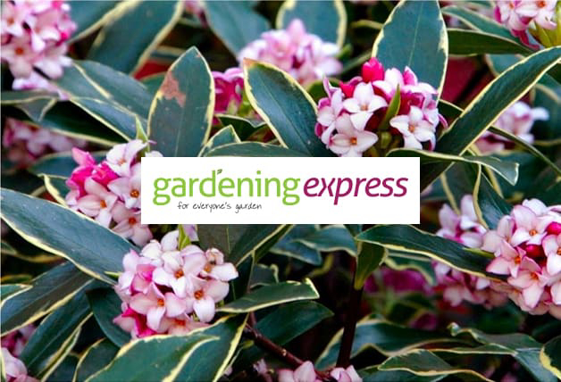 Up to 70% Off Special Deals with this Gardening Express Voucher